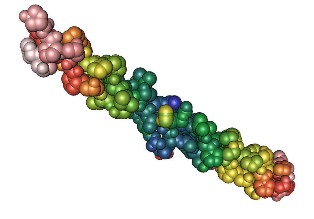 elastina proteina Pulsero Gel gelan